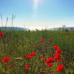 Strandresort Prora F648 WG 201 mit Meerblick